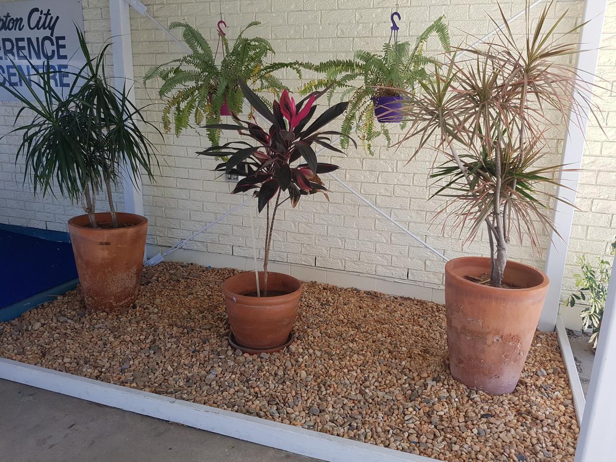 Y Motels Rockhampton Εξωτερικό φωτογραφία